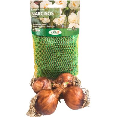 Bulbo narciso surtido 4 unidades