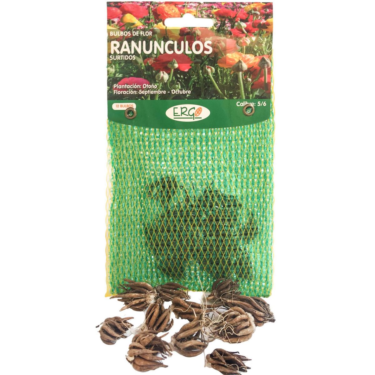 ERGO - Bulbo ranúnculo surtido 12 unidades