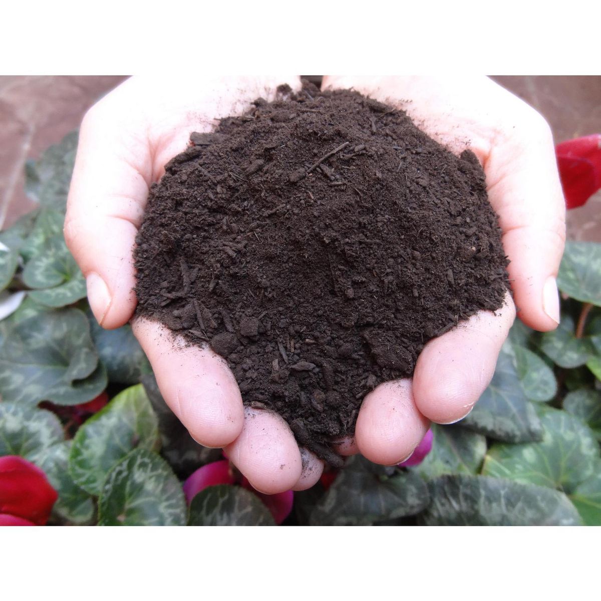 ARMONY - Tierra compost multi 1000 l