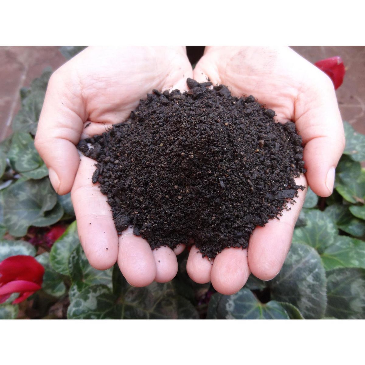 ARMONY - Tierra mezcla cesped 1000 l