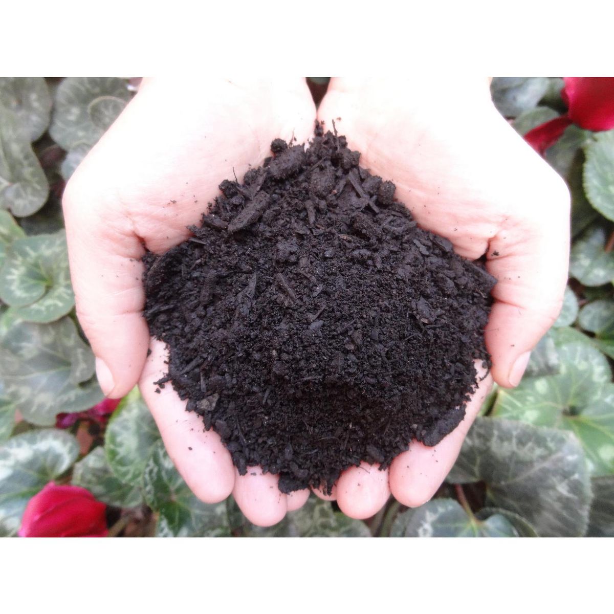 ARMONY - Tierra con abono 1000 l