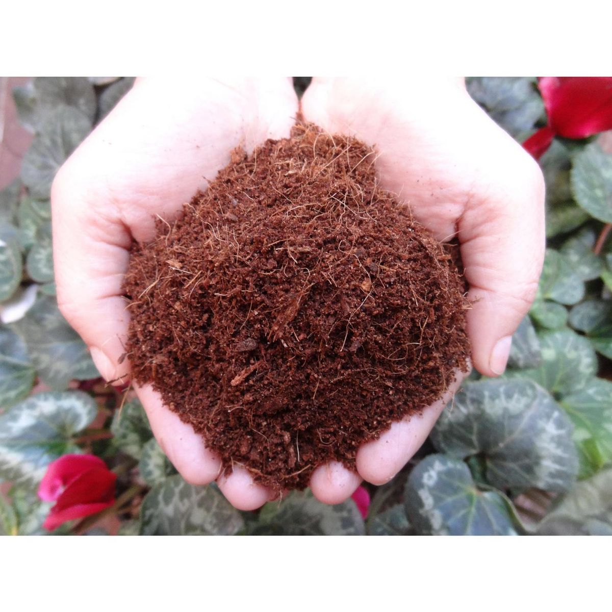 ARMONY - Fibra de coco hidratada 1000 l