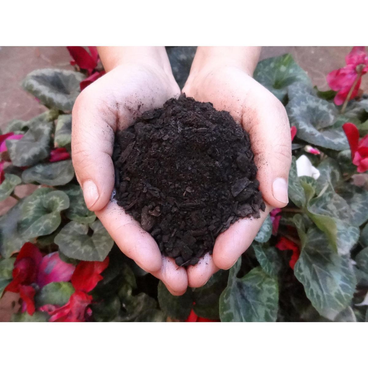 ARMONY - Tierra de hojas 40 l