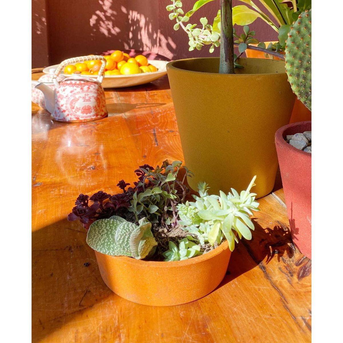 DECOGREEN - Set 2 Maceteros Biodegradables de Silicona 16x5 cm Naranjo