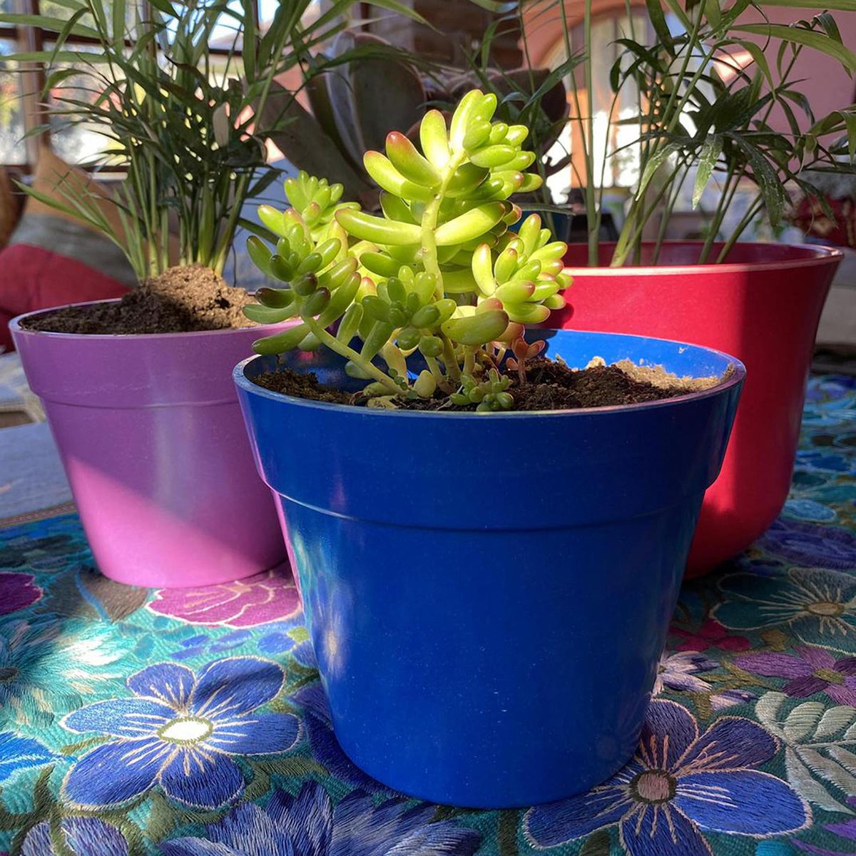 DECOGREEN - Set 2 Maceteros Biodegradables de Silicona 13.7x10.3 cm Azul