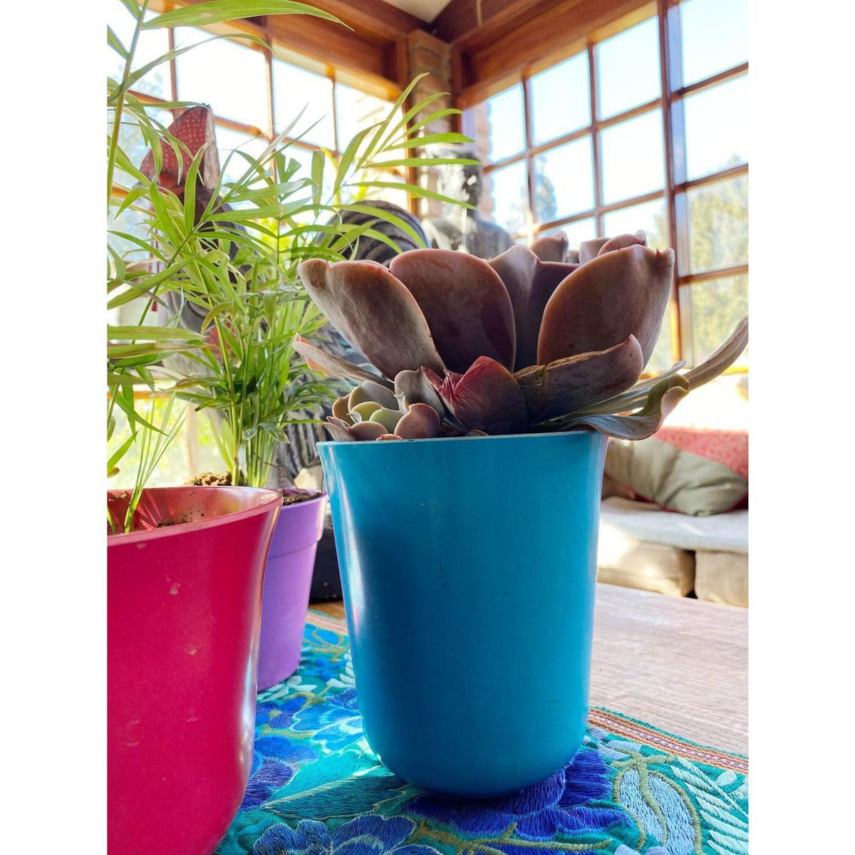 DECOGREEN - Set 2 Maceteros Biodegradables de Silicona 13x14.5 Azul