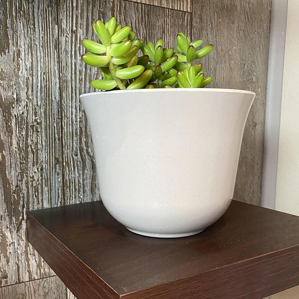 DECOGREEN - Set 2 Maceteros Biodegradables de Silicona 16.5x13 cm Gris