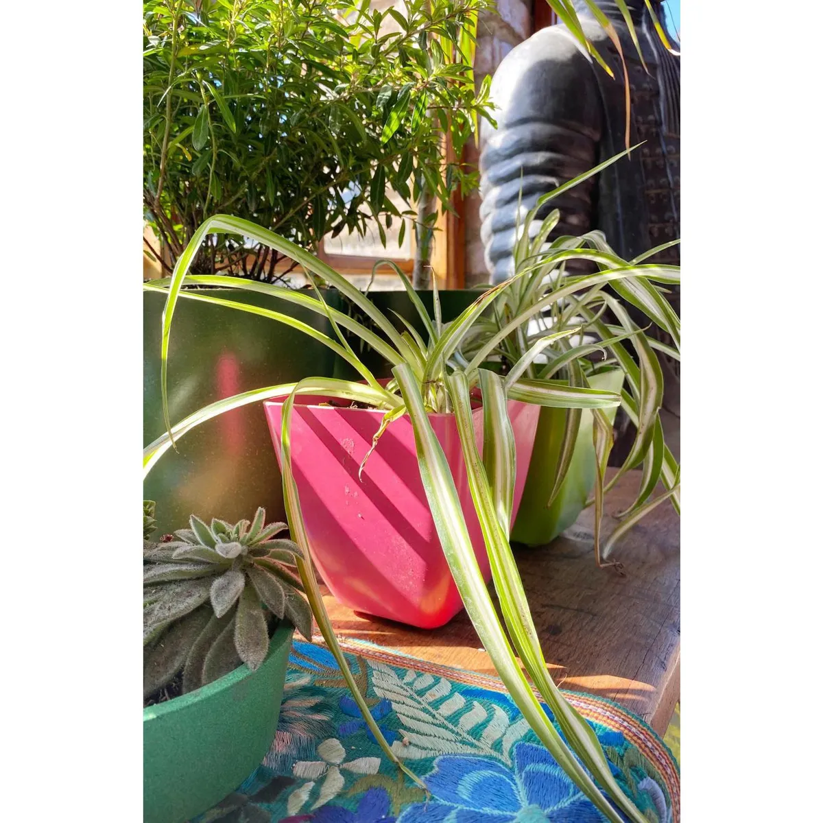 DECOGREEN - Set 2 Maceteros Biodegradables de Silicona 13.3x12.4 cm Coral