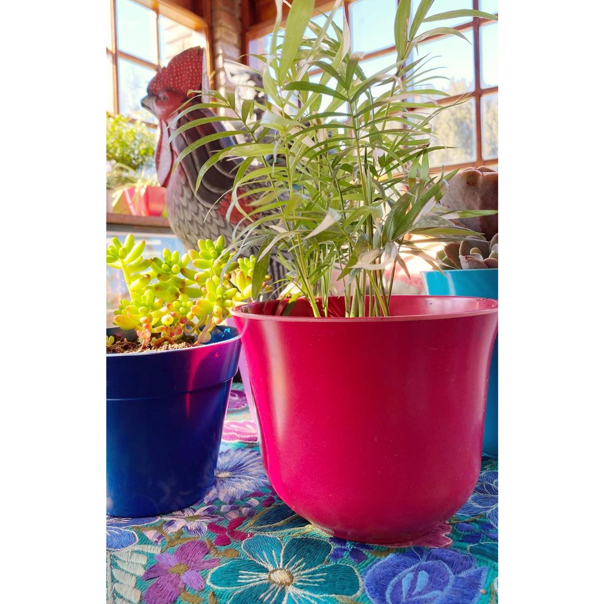 DECOGREEN - Set 2 Maceteros Biodegradables de Silicona 16.5x13 cm Purpura