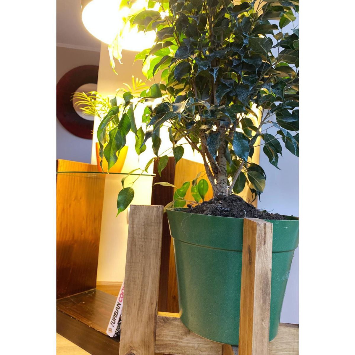 DECOGREEN - Set 2 Maceteros Biodegradables de Silicona 25x17 cm Verde Musgo