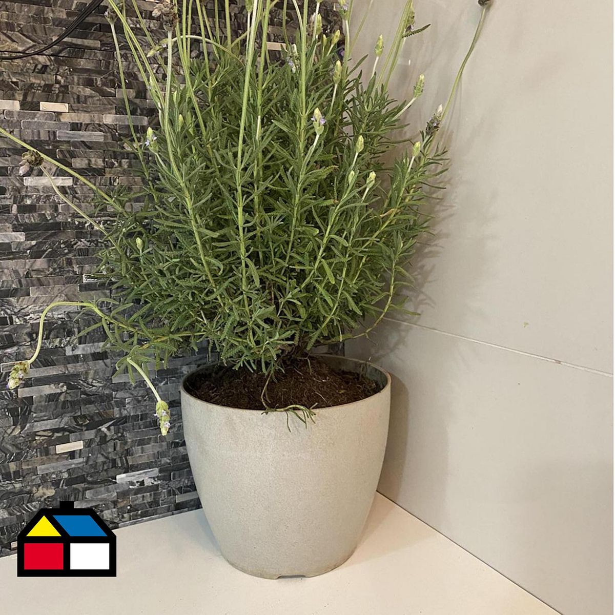 DECOGREEN - Set 2 Maceteros Biodegradables de Silicona 24x18 cm Gris