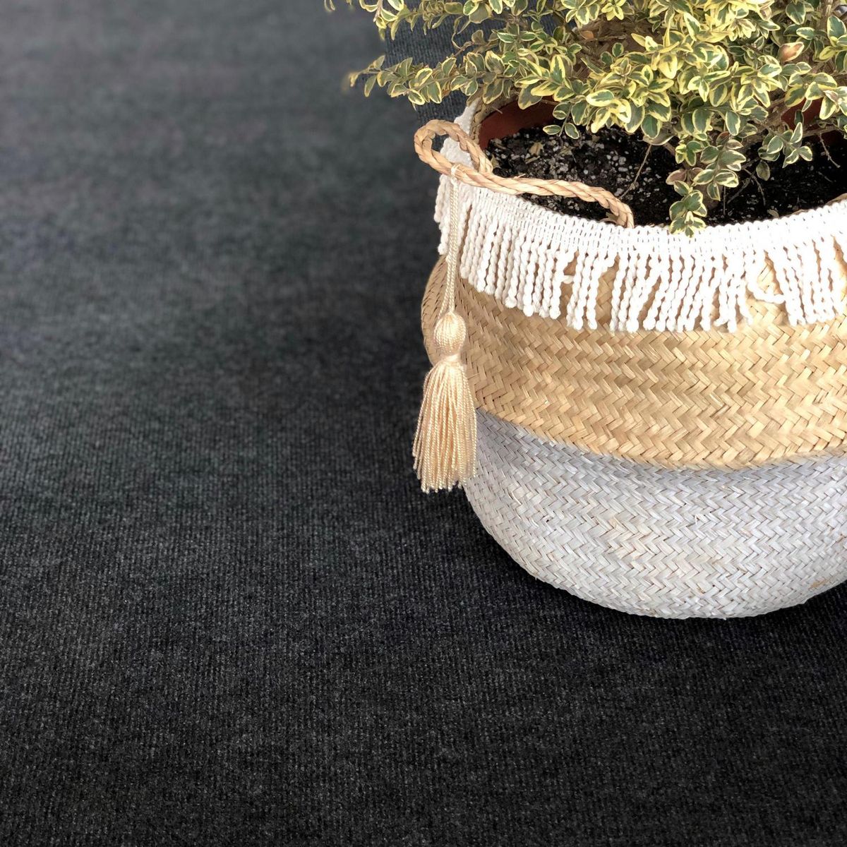 GEOTEX - Cubrepiso 24 m2 Gris Oscuro