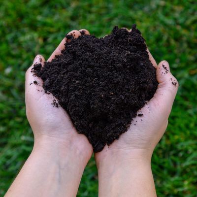 Imagen 2 del producto Tierra Compost Multiproposito 40L