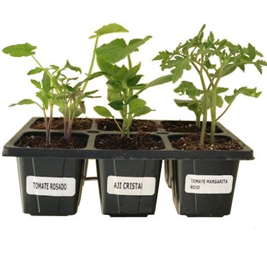 Cesta 6 huerta hortalizas 0,06m ct8