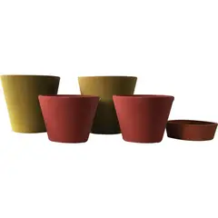 DECOGREEN - Set 5 Macetas Arena 2 Alto mostaza 2 Mediano rojo 1 Suculenta naranjo