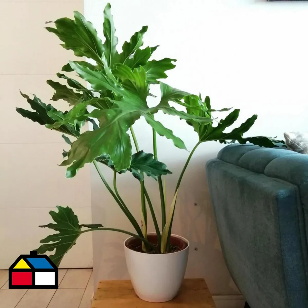 DECOGREEN - Set 4 Maceteros Biodegradables de Silicona 24x18 cm Terracota