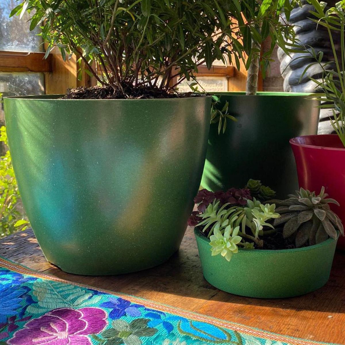 DECOGREEN - Set 4 Maceteros Biodegradables Actual 2 terracota, 2 musgo