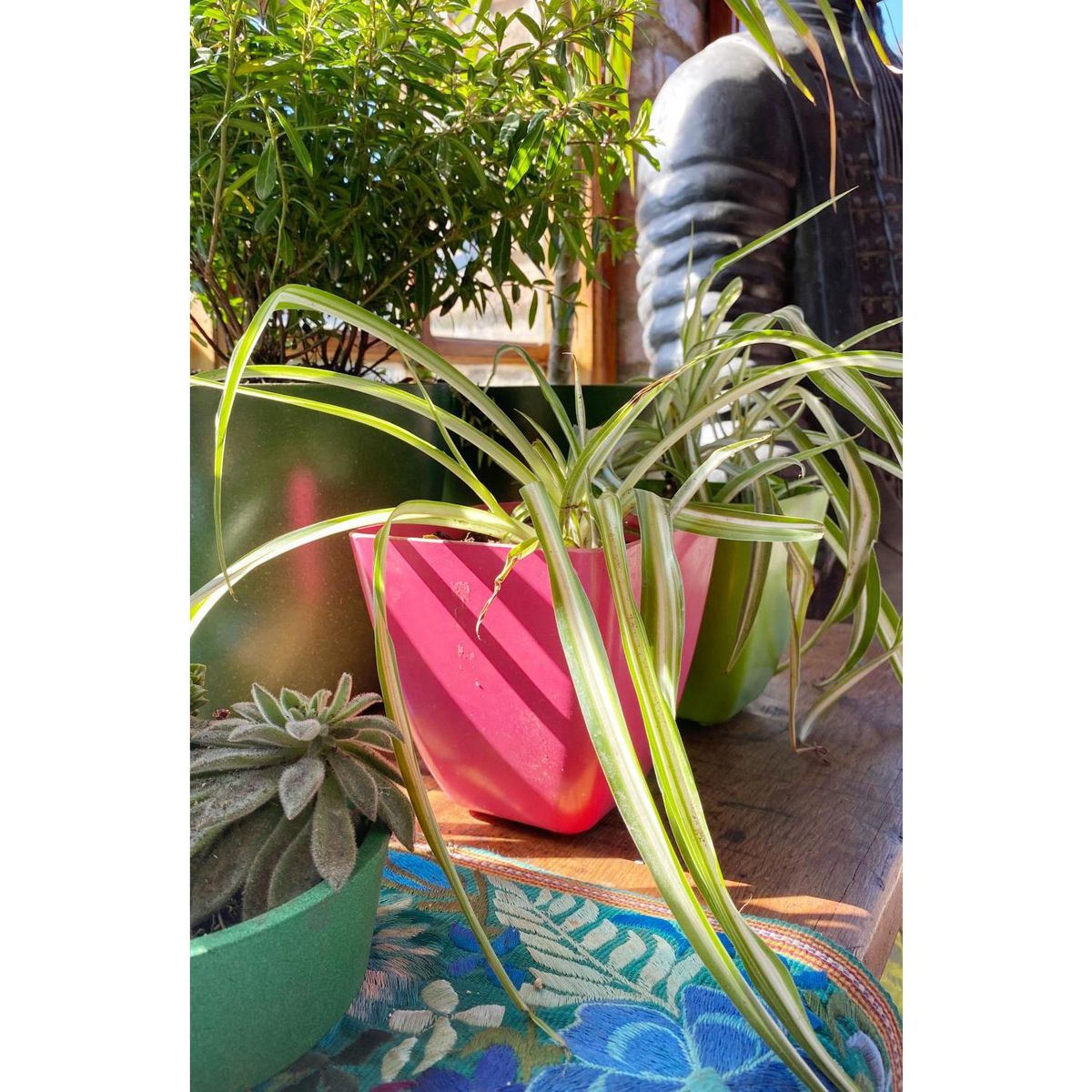 DECOGREEN - Set 7 Maceteros Biodegradables de Silicona 13.3x12.4 Terracota y Verde Musgo