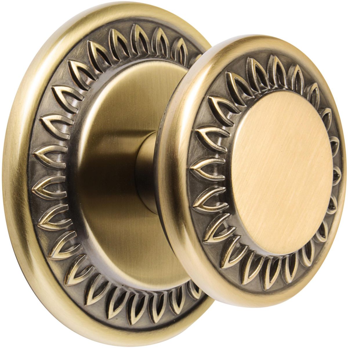 POLI - Perillón romano 433BT