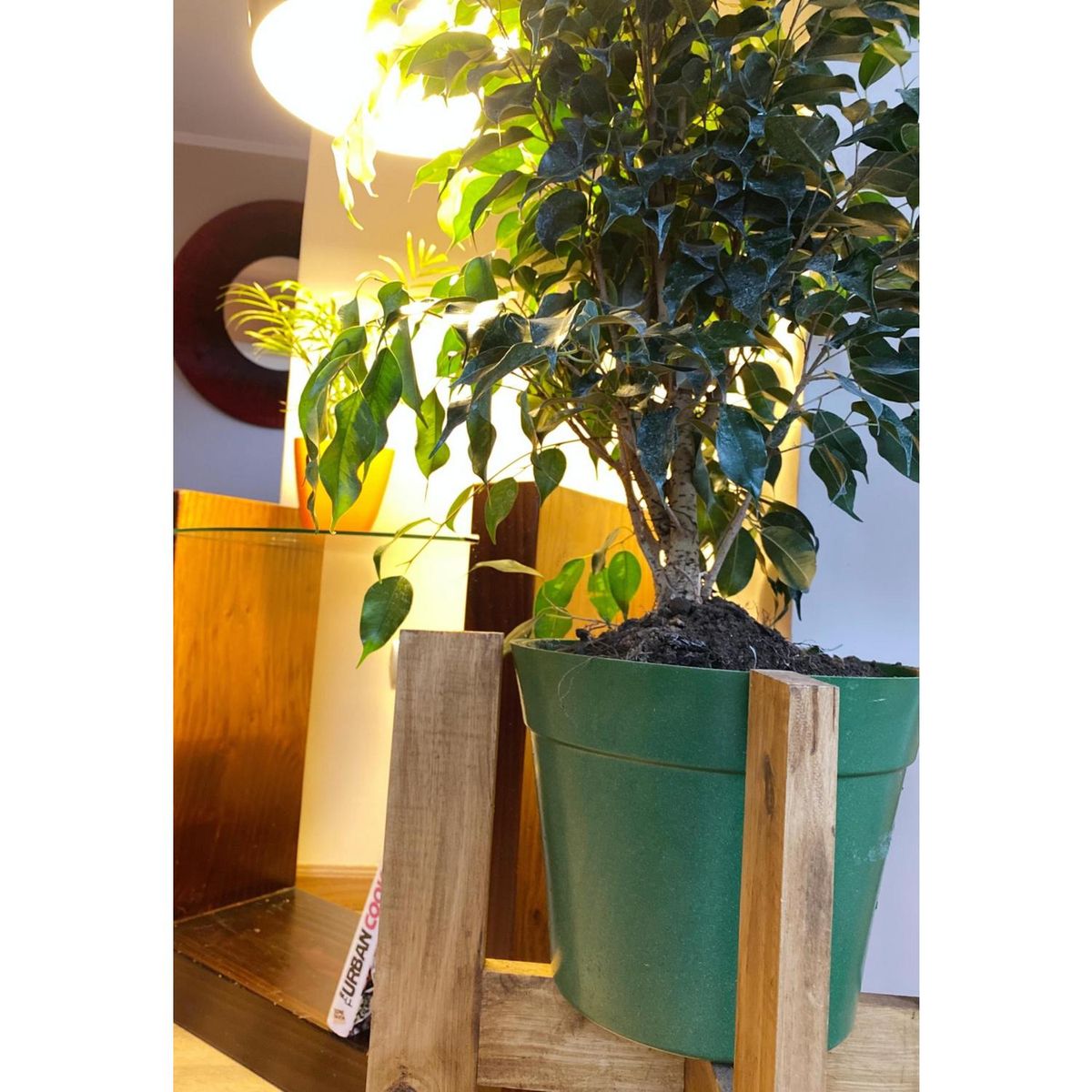 DECOGREEN - Set 4 Maceteros Biodegradables Clásico 2 gris 2 musgo