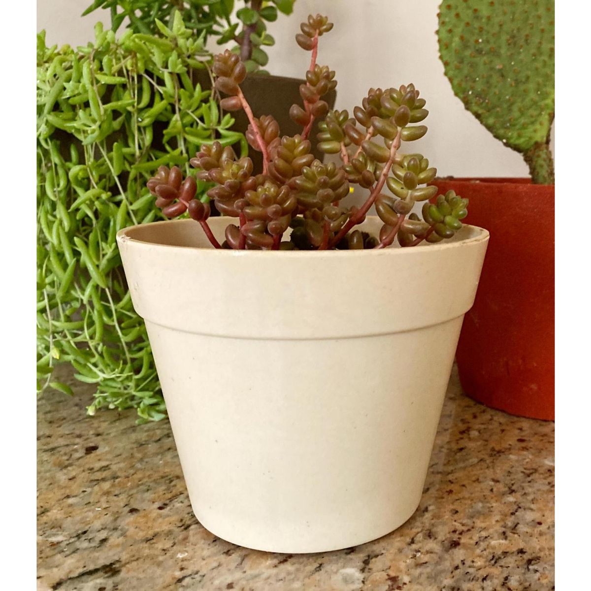 DECOGREEN - Set 8 Maceteros Biodegradables Redondos 4 rojos, 4 blancos