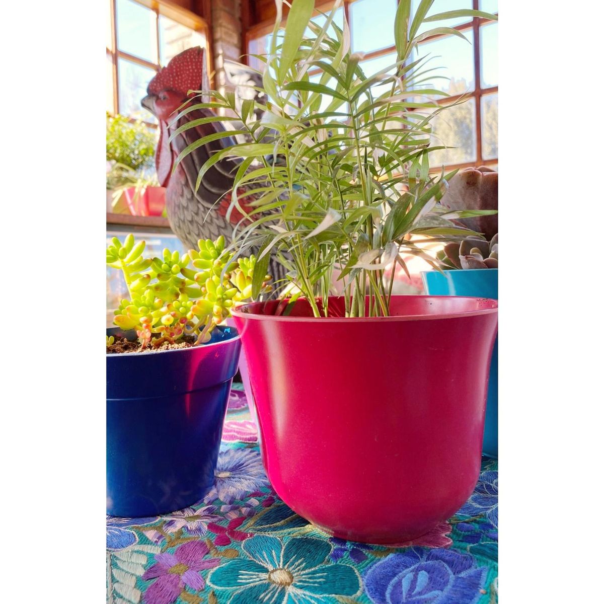 DECOGREEN - Set 6 Maceteros Biodegradables Curvos de Silicona 16.5x13 Blanco