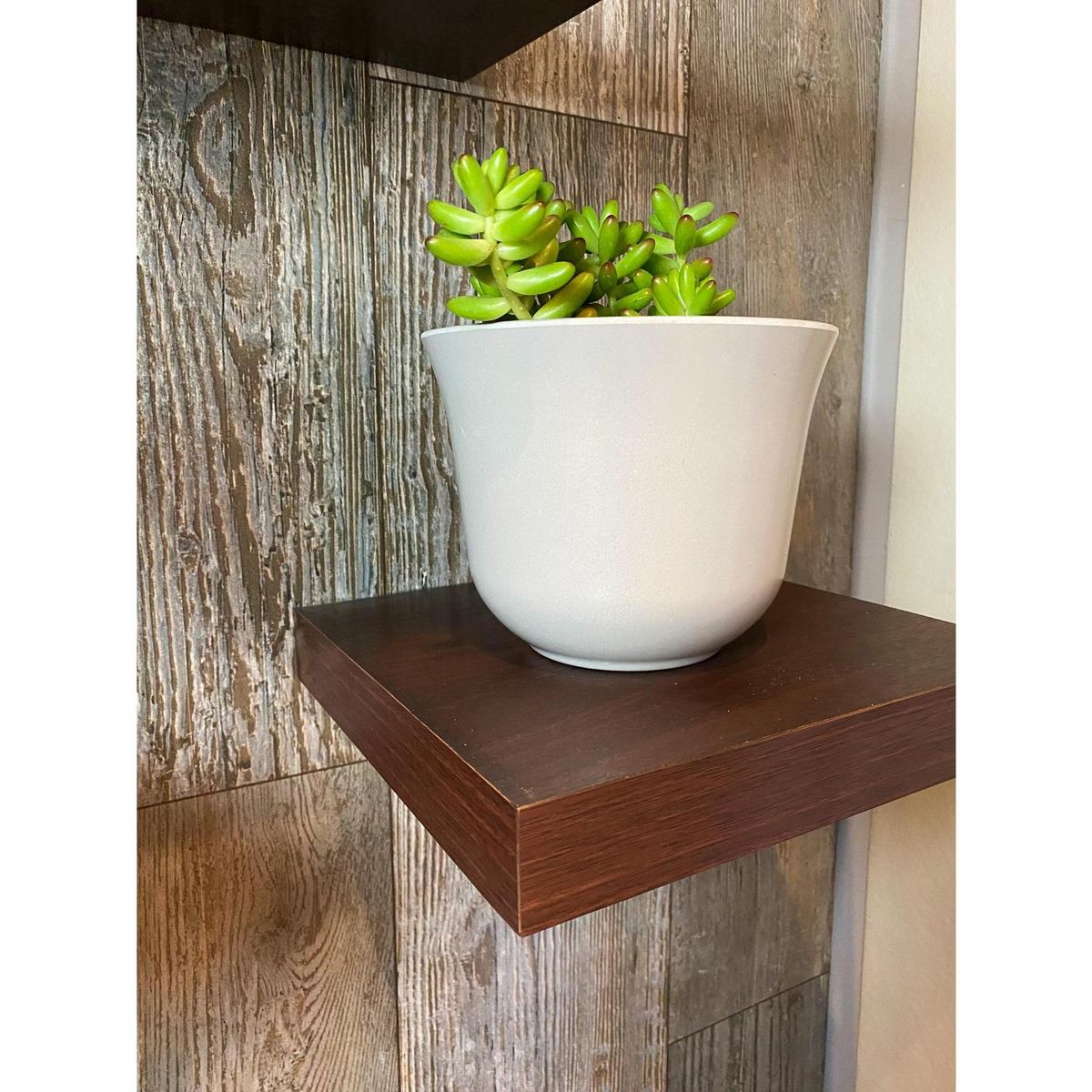 DECOGREEN - Set 6 Maceteros Biodegradables Curvos de Silicona 16.5x13 Purpura