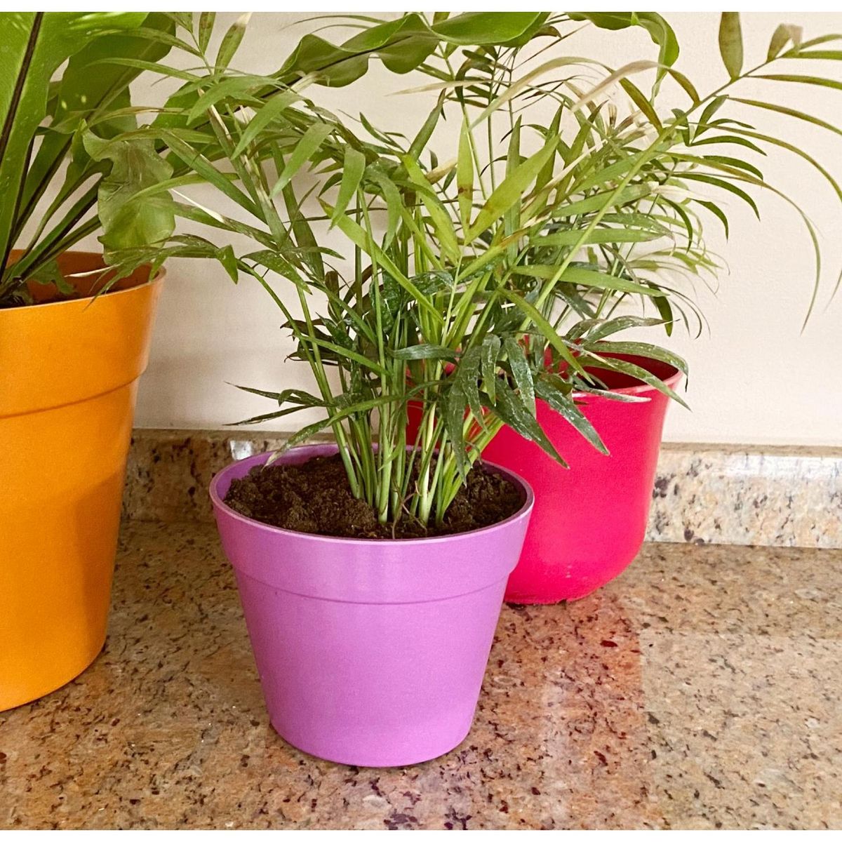 DECOGREEN - Set 8 Maceteros Biodegradables Redondos de Silicona 13.7x10.3 Coral, Amarillo y verde