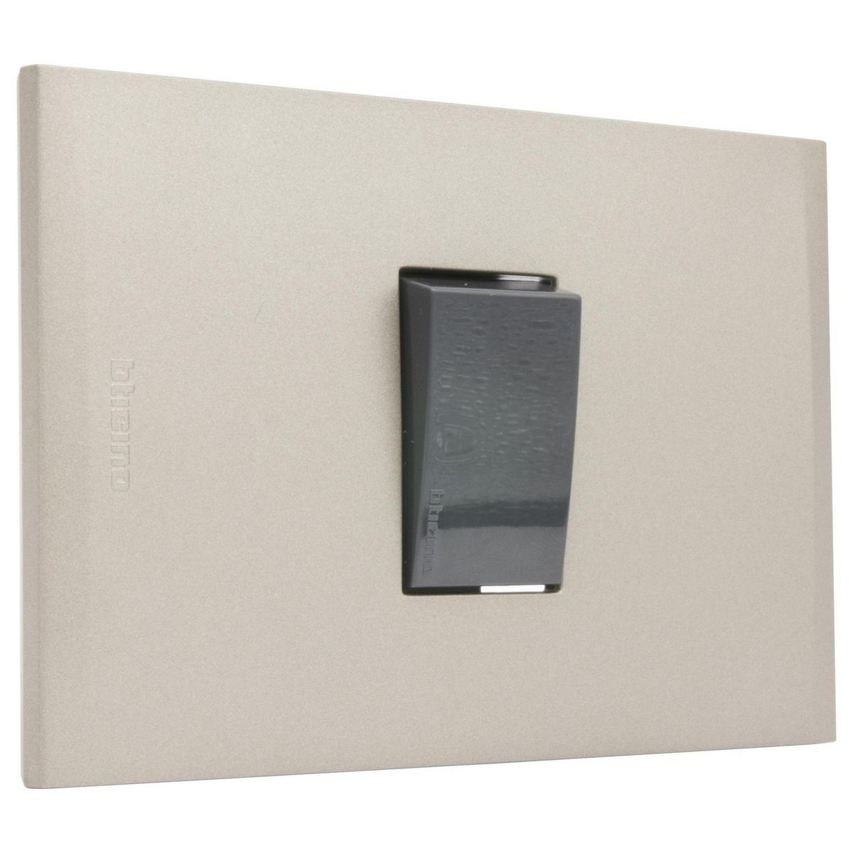 BTICINO - Interruptor (9/12) 10ax ant pl1p terra nóbile