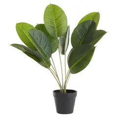 DAY - Planta Artificial Calatea 50Cm