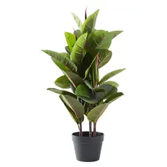 DAY - Planta Artificial Ficus 80Cm