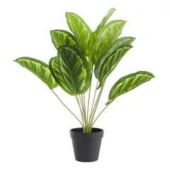 DAY - Planta Artificial Filodendro 50Cm