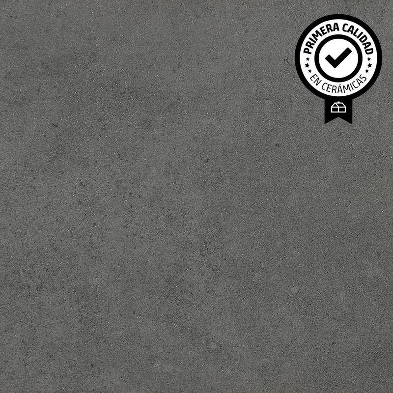 RAK - Porcelanato 60x60 cm Surface Gris Lapato 1.44 m2