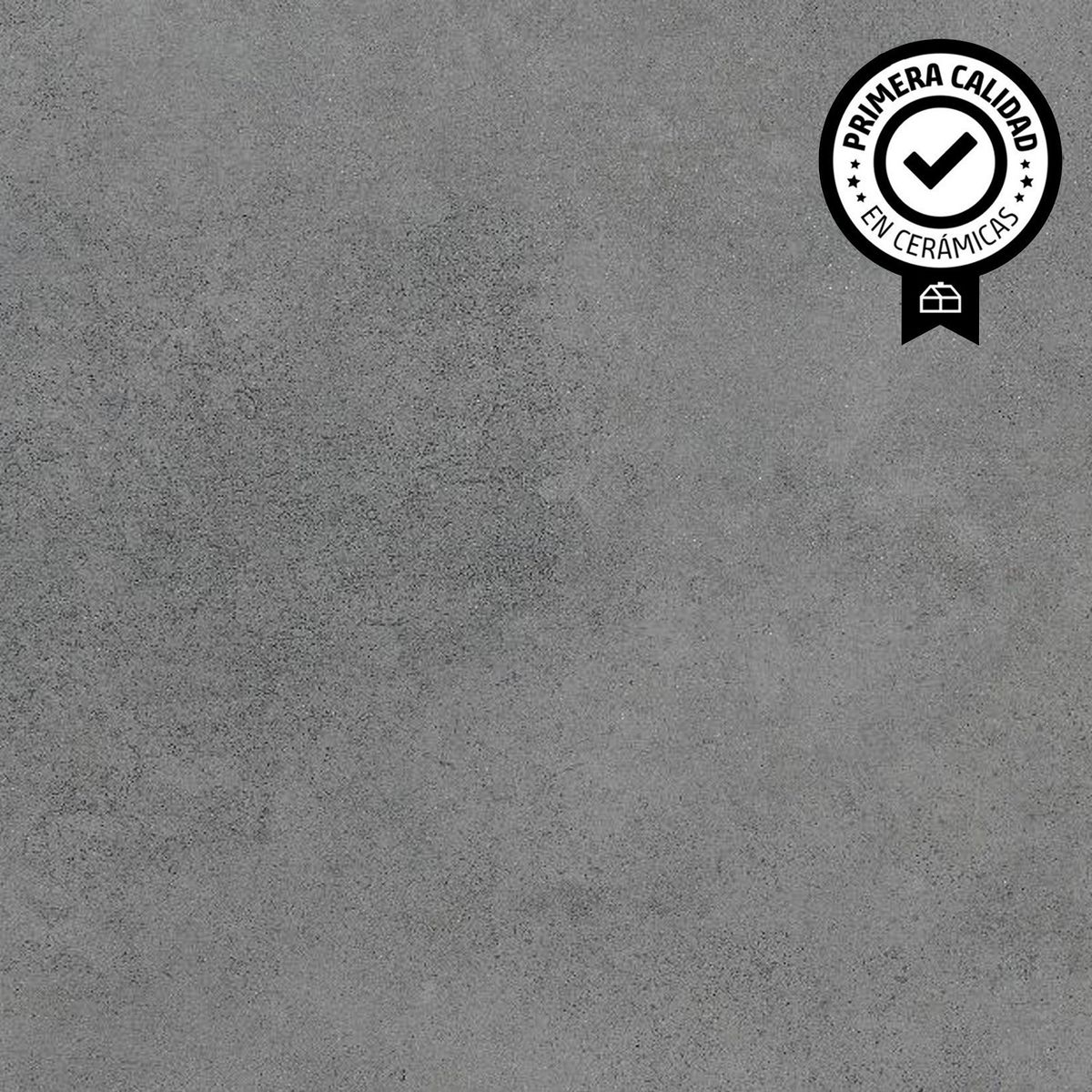 RAK - Porcelanato 60x60 cm Surface Gris 1.44 m2