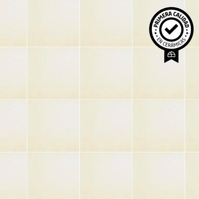 Porcelanato Todo Masa 60x60 Blanco Lapato Rectificado