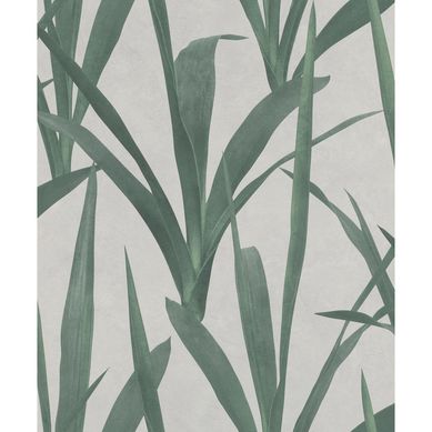 Papel mural highlands 427028