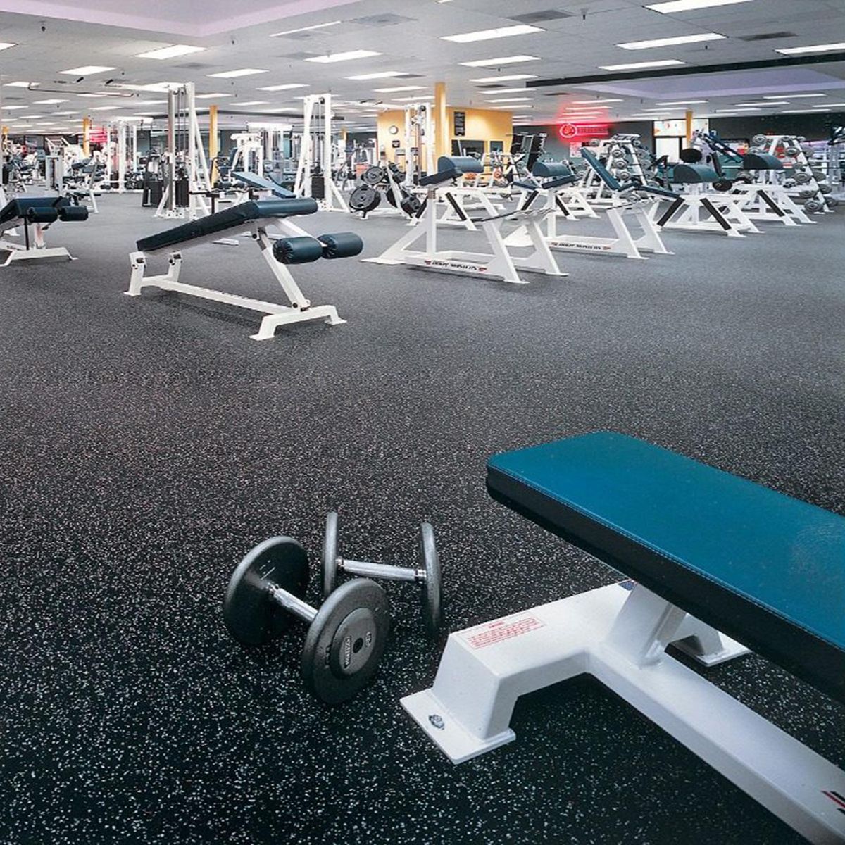 DIB - Palmeta Fitness 100x100 cm 