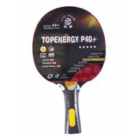 Paleta De Ping-Pong 5 Estrellas