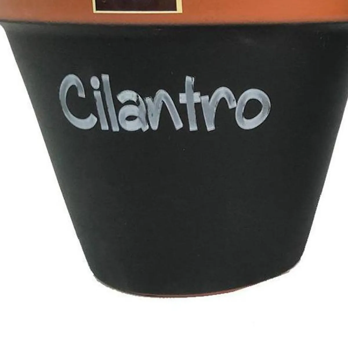 MESTIZA - Set 2 Maceteros Mi Huerto de Arcilla 6x13 cm Negro/terracota