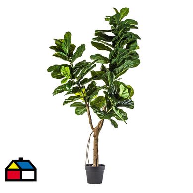Ficus Lyrata Artificial 175Cm