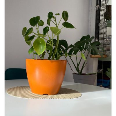 Imagen 2 del producto Set Macetero y Plato Biodegradable de Bambú 24x18 cm Terracota