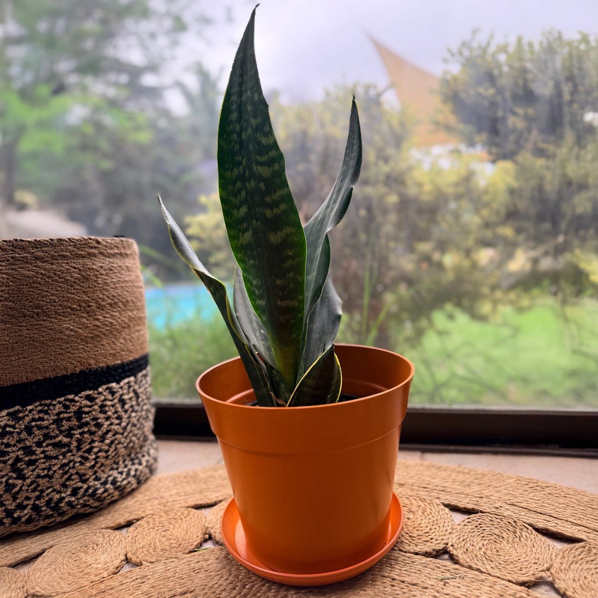 DECOGREEN - Set Macetero y Plato Biodegradable de Bambú 25x17 cm terracota