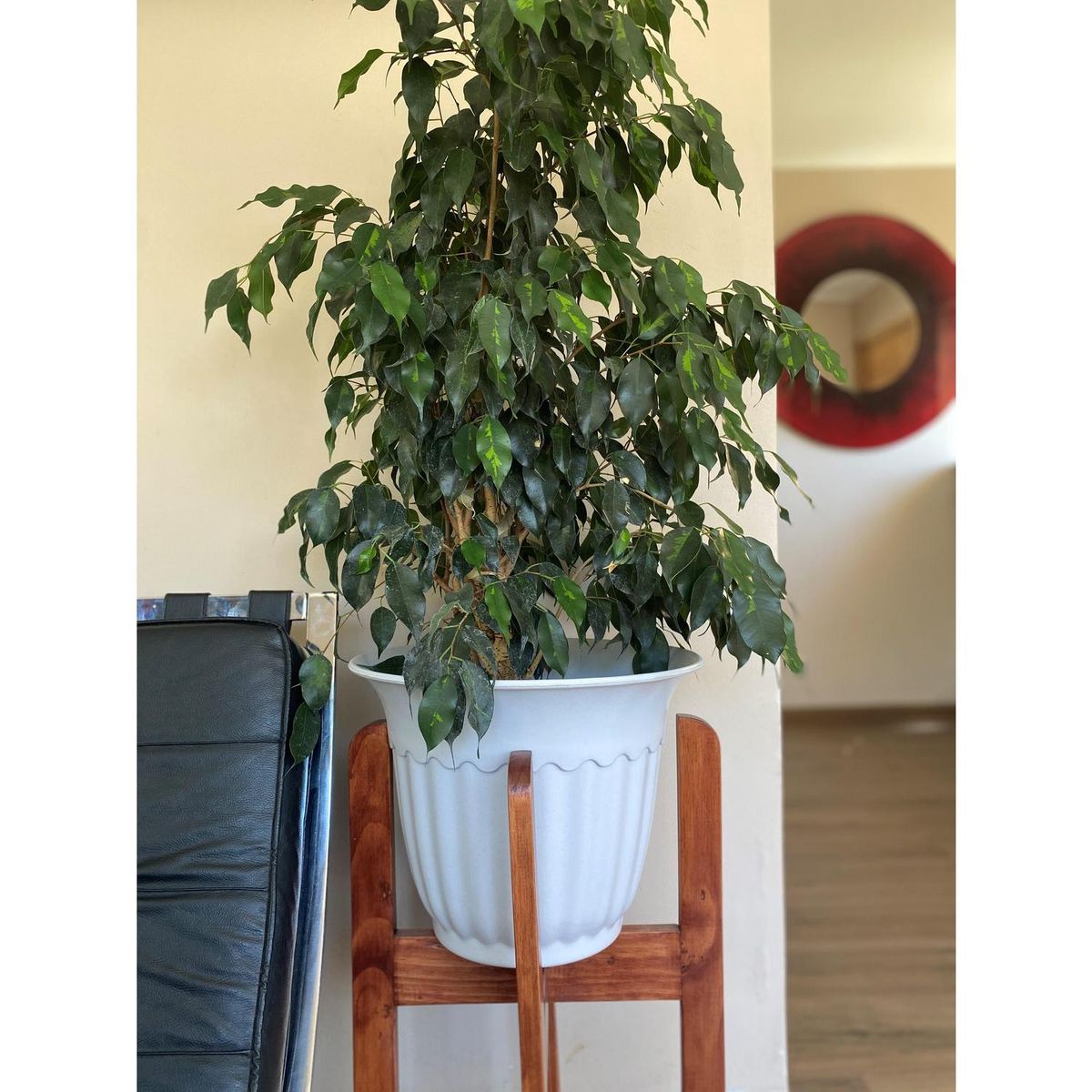 DECOGREEN - Macetero Olimpo Biodegradable de Bambú 36x32 cm Blanco