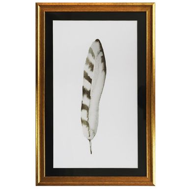  Plumas Media Raya 40x60 cm