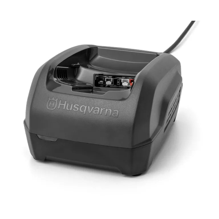 Cargador De Batería Li Qc250
