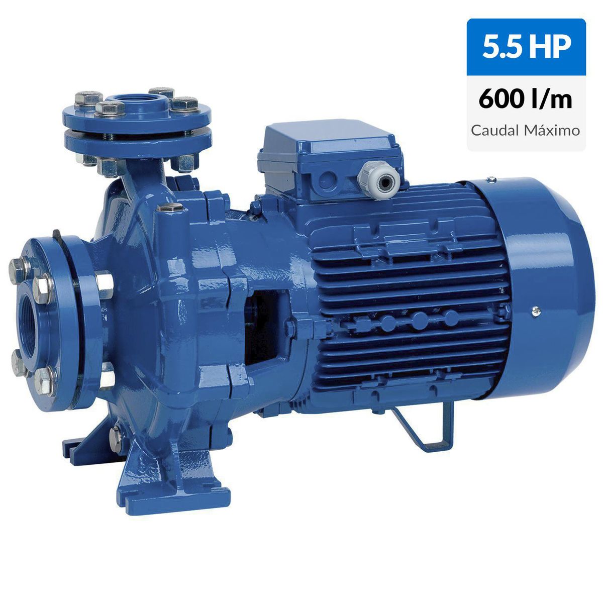 REGGIO - Bomba centrífuga normalizada EN733 5,5HP