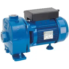 REGGIO - Bomba centrífuga de doble impulsor 1,5HP