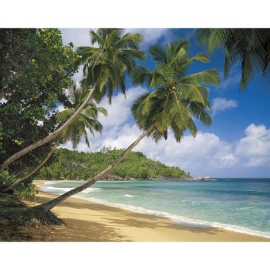 Fotomural tropical sea 8308