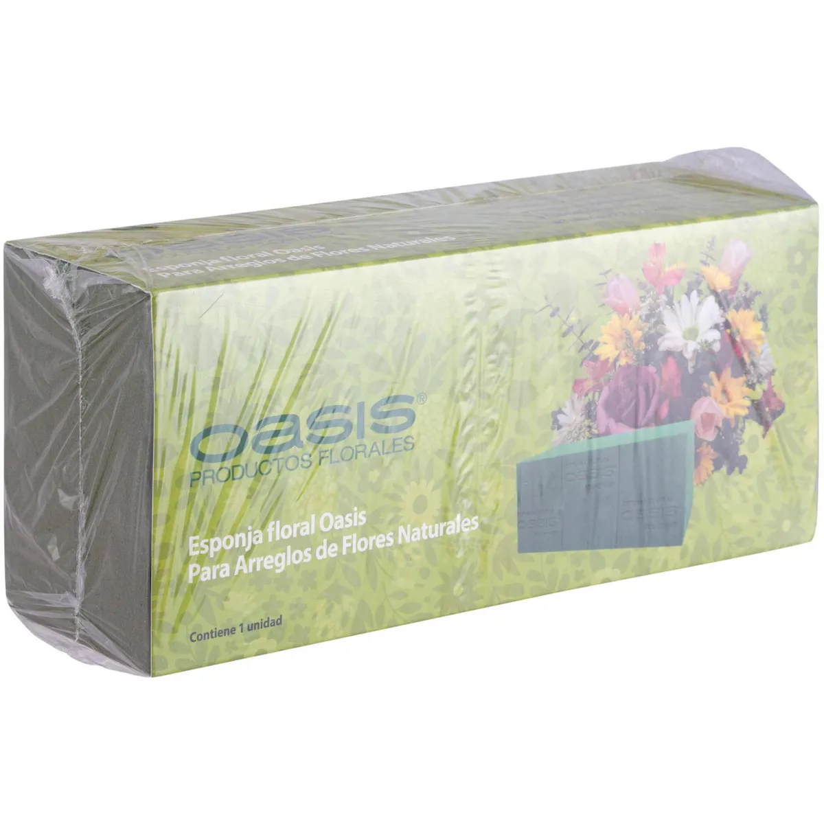 FLORACENTER - Espuma floral verde