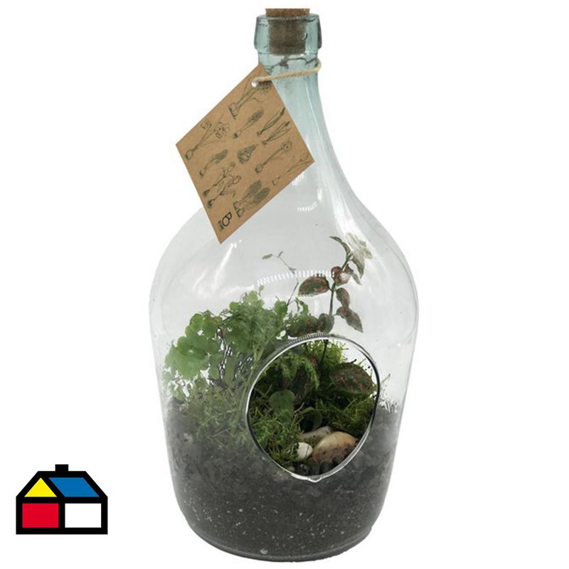 BLUME IN A POT - Terrario Botella 20 cm Natural CT